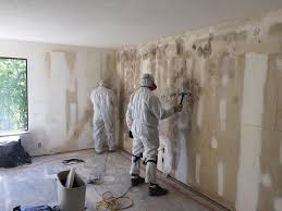 Marysville, CA Mold Removal Services Company